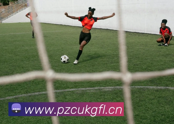 九游j9官方入口服务体系